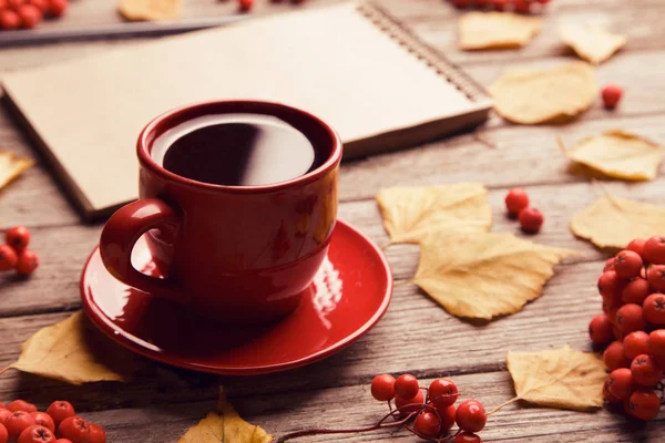 Acolhedor manhã de outono com xícara de café — Fotografia de Stock