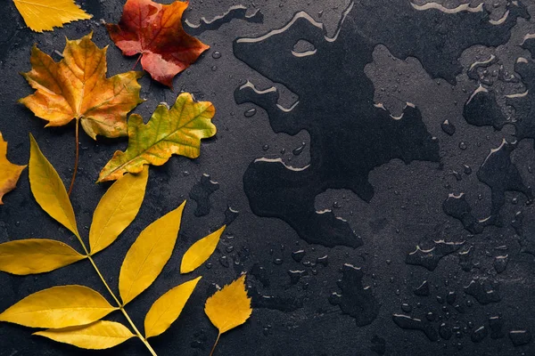 Sonbahar renkli arka plan kopya alanı ile