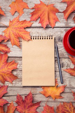 Sonbahar sabahı rutin sabah planlama