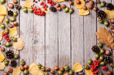 Sonbahar rustik arka plan kopya alanı ile