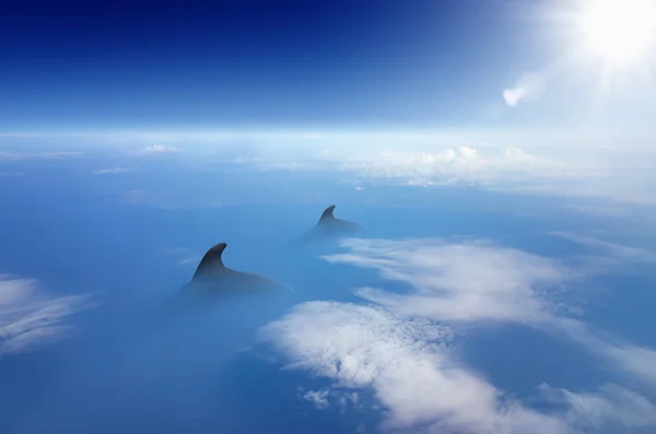 Mavi okyanusta yüzmeye gizemli GIGANT hayvanların havadan görünümü — Stok fotoğraf