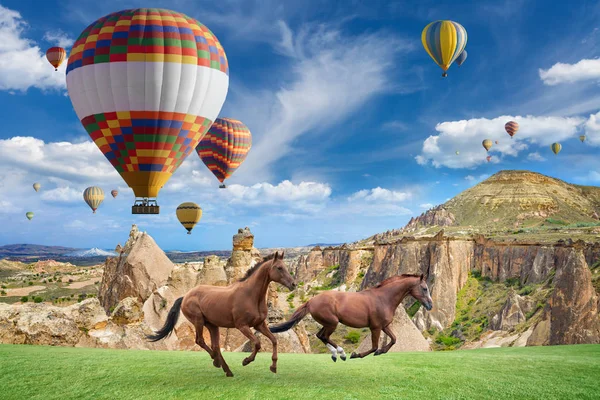 Hot air ballooning and two horses running in Cappadocia, Turkey. — Stock Photo, Image