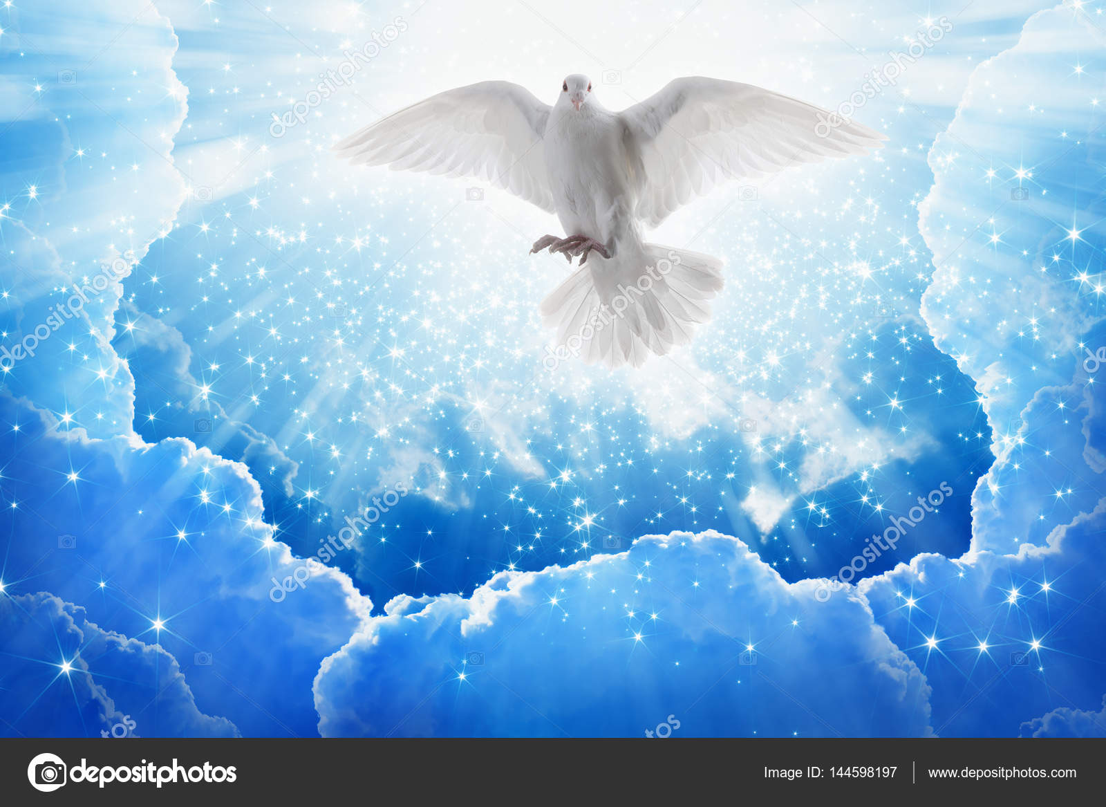 Holy spirit bird flies in skies, bright light shines from heaven Stock ...