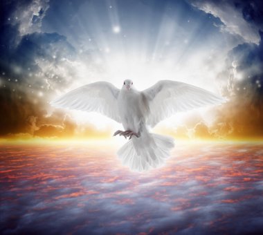 Holy spirit bird flies in skies, bright light shines from heaven clipart