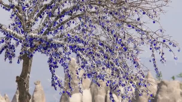Amuletos nazar em galhos de árvore — Vídeo de Stock