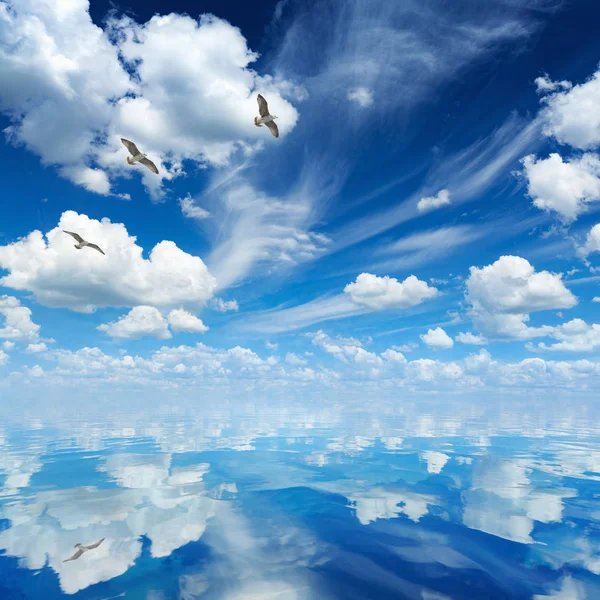 Azul mar e céu, nuvens brancas, tempo ensolarado, três gaivotas fl — Fotografia de Stock