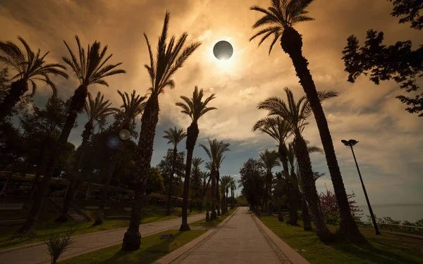 Eclissi solare totale, viale delle palme nella città resort — Foto Stock