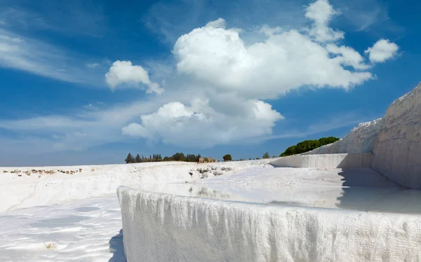 White Pamukkale, Turquie — Photo