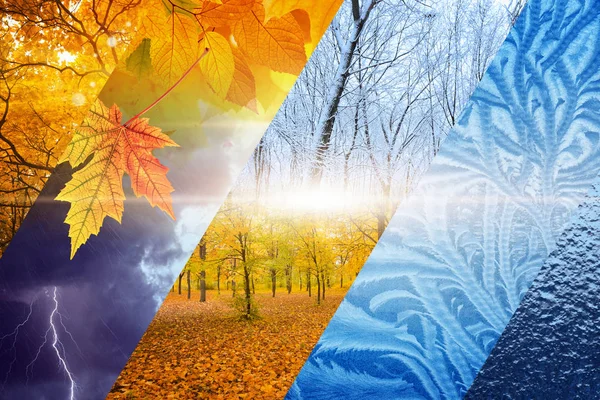 Fall turns to winter. Weather forecast concept. — Stock Photo, Image