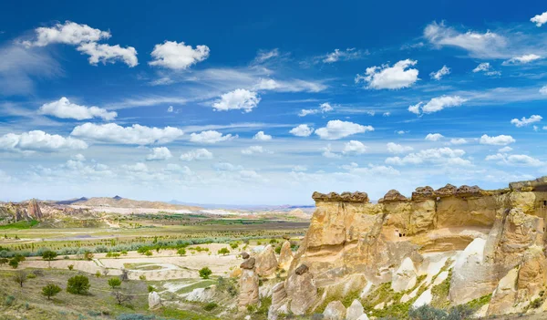 Felsen sieht aus wie Pilze in der Nähe von Chawuschin in Kappadokien, Türkei lizenzfreie Stockfotos