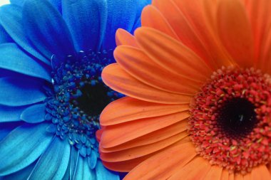 Mavi ve turuncu kontrast