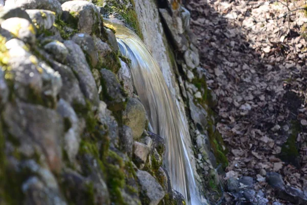 Cascada del bosque sobre piedras —  Fotos de Stock