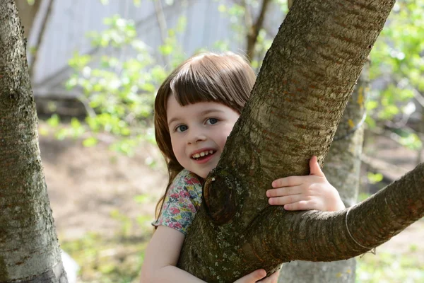 Chica trepando un árbol —  Fotos de Stock