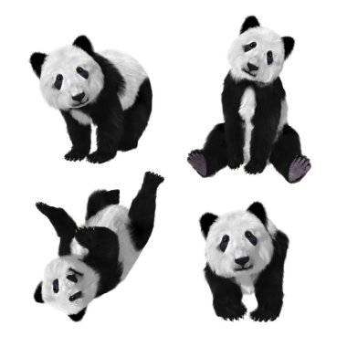 Bir bebek beyaz bir arka plan üzerinde çeşitli teşkil ayı panda çizimi. 
