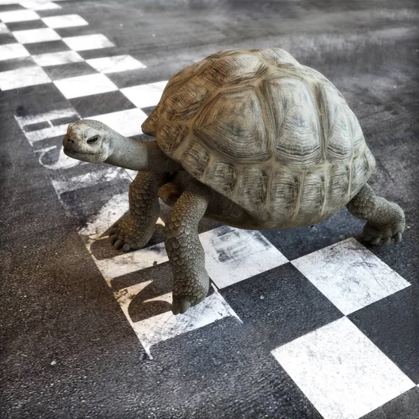 Devagar e firme ganha a corrida. Uma tartaruga atravessando a linha de chegada de uma corrida. Ambição, objetivos, determinação, sucesso, conceito de realização nos negócios e na vida  . — Fotografia de Stock