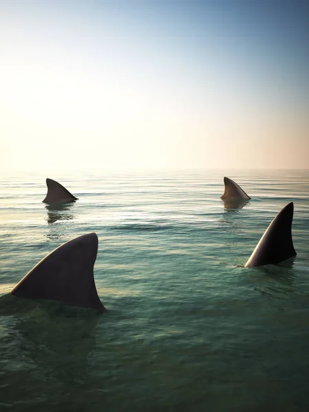 Shark fins circling above the ocean water. — Stock Photo, Image