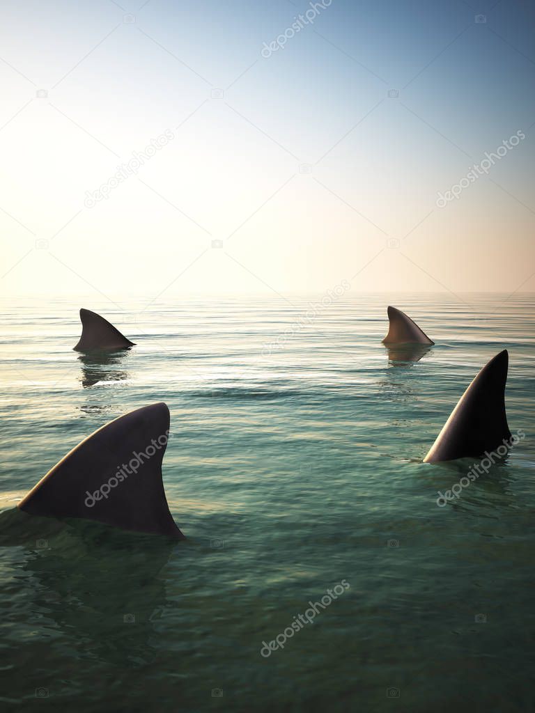 Shark fins circling above the ocean water. 