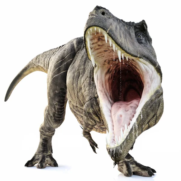 Un attacco del Tyrannosaurus Rex su uno sfondo bianco isolato  . — Foto Stock