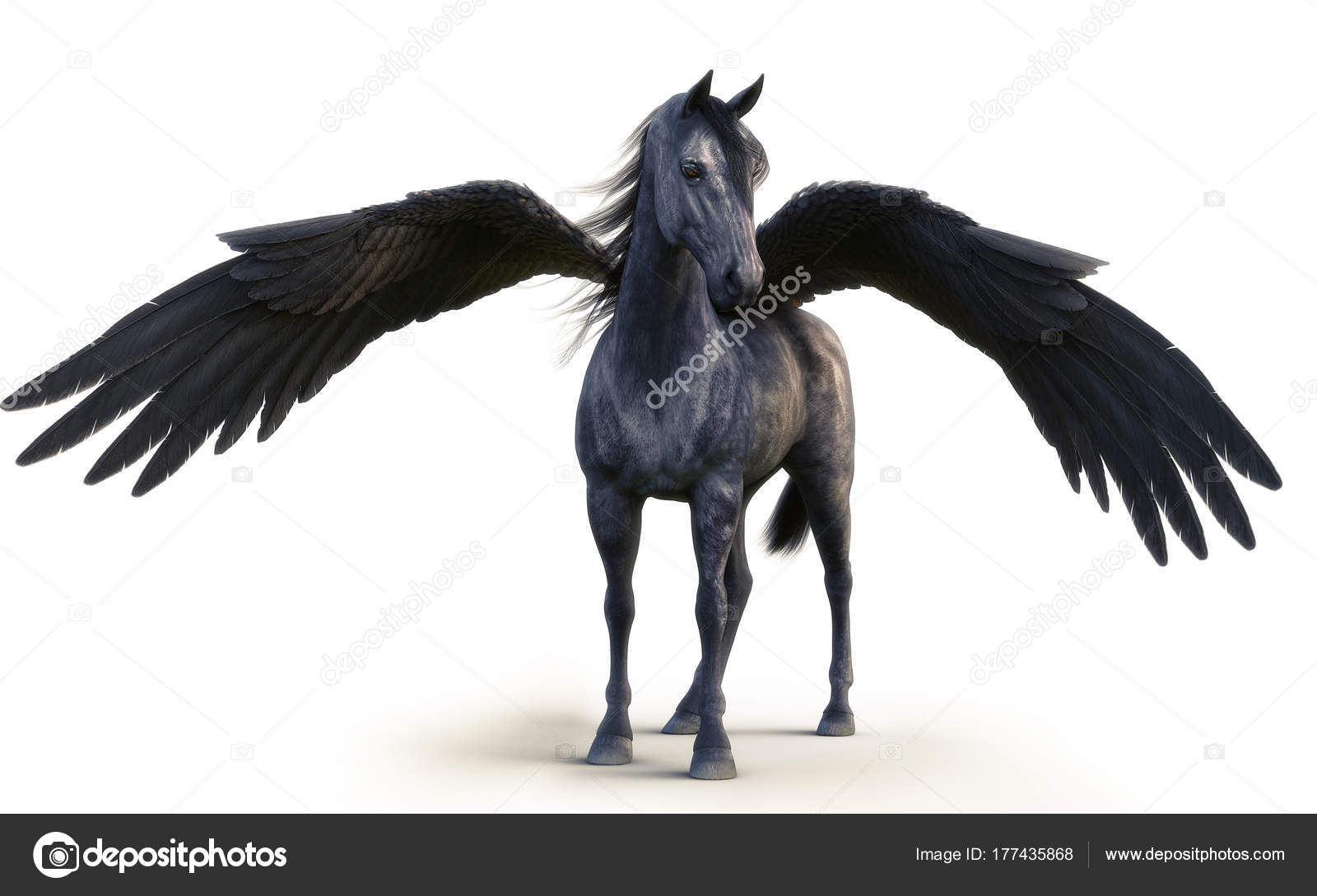 pegasus preto e branco