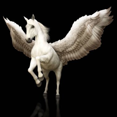 Pegasus görkemli efsanevi Yunan at siyah bir arka plan üzerinde kanatlı. 3D render