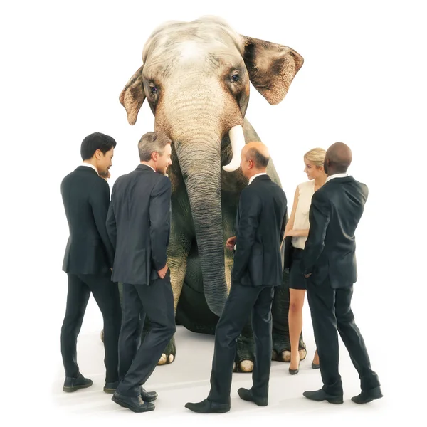 大象在房间里不到位 个性或智慧概念 商人和女人在一组与一个地方的大象 渲染插图 — 图库照片