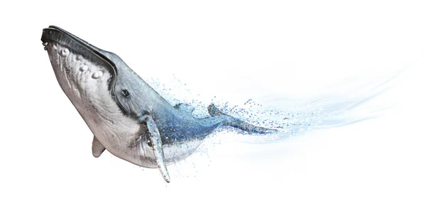 在白色背景的驼背鲸 色散抽象波效应3D — 图库照片