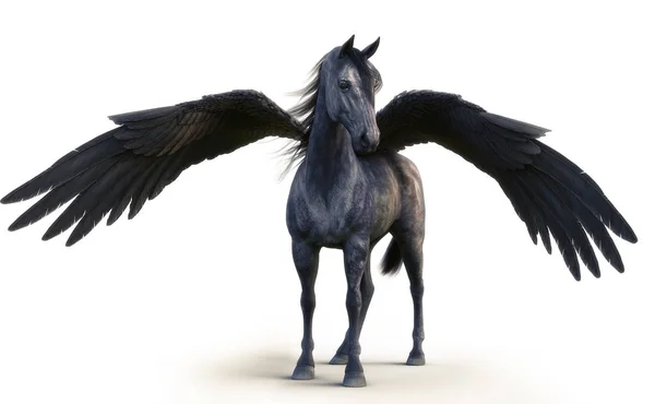 Mitikus Fekete Pegasus Pózol Fehér Elszigetelt Háttér Leképezés — Stock Fotó