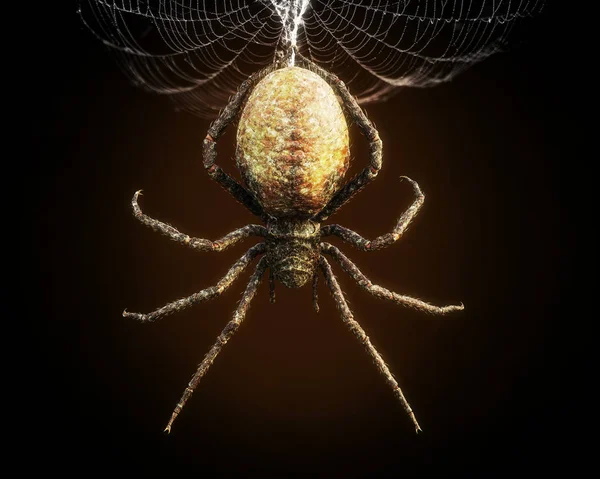 Abstract Closeup Huge Spider Dangling Its Web Rendering — Stock Photo, Image
