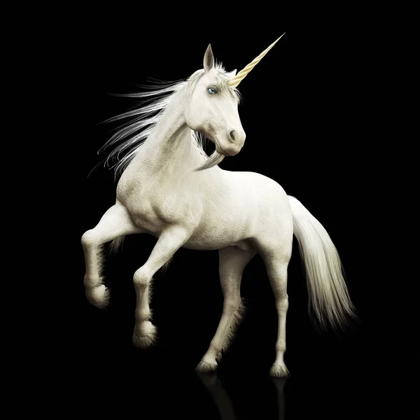 Unicornio Majestuoso Caballo Cuernos Mítico Sobre Fondo Negro Renderizado — Foto de Stock