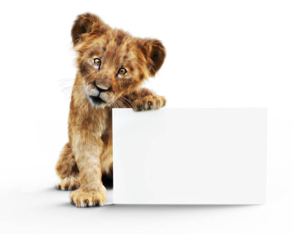 Adorable baby lion cub holding up a mock up blank white poster board for custom advertisement or text. 3d rendering on a white background