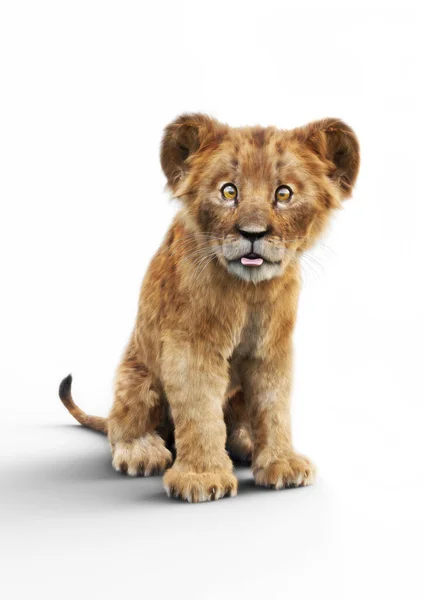 Porträt Eines Entzückenden Löwenjungen Der Seine Zunge Auf Weißem Hintergrund — Stockfoto