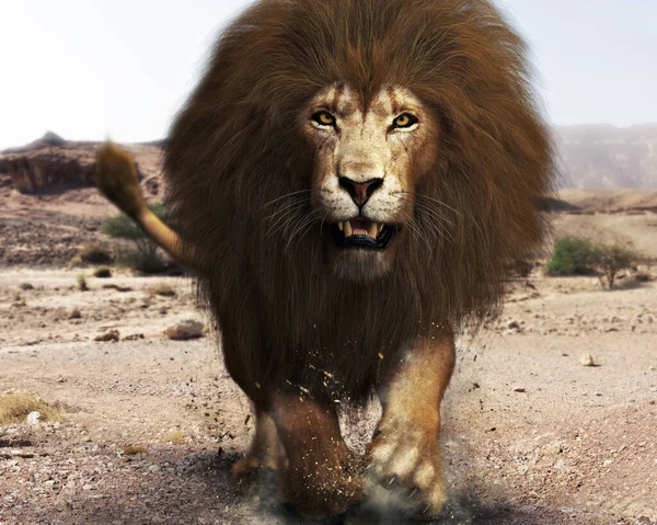 Portrait Ferocious Angry Lion Lord Jungle Black White Rendering — Stock Photo, Image