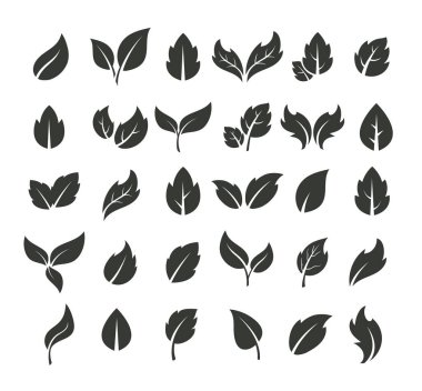 Yaprak siluet simgesi izole edildi. Vektör düz çizgi film çizim tasarımı