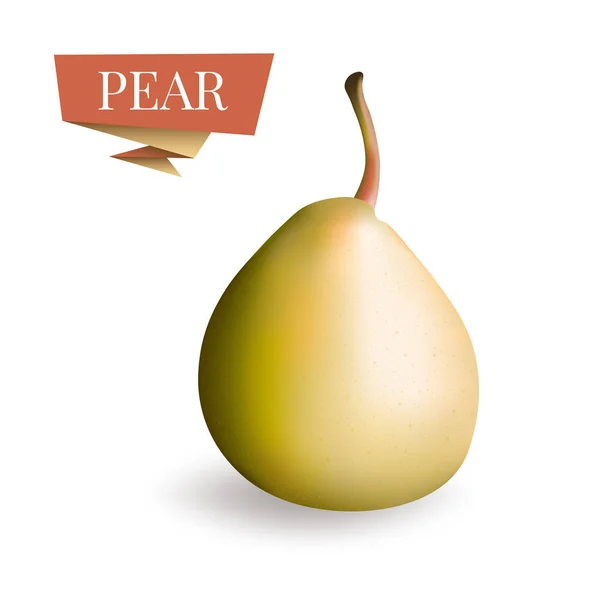Isolated Picture Pear Fruit Pear Vector Illustration Pear Icon Art — Stock Vector