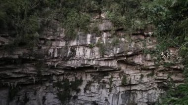 Las Golondrinas Bodrumu (Hirundo rustica) Meksika 'nın San Luis Potos eyaletine bağlı Aquismn şehrinde bulunan doğal bir uçurumdur.