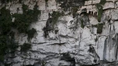 Las Golondrinas Bodrumu (Hirundo rustica) Meksika 'nın San Luis Potos eyaletine bağlı Aquismn şehrinde bulunan doğal bir uçurumdur.