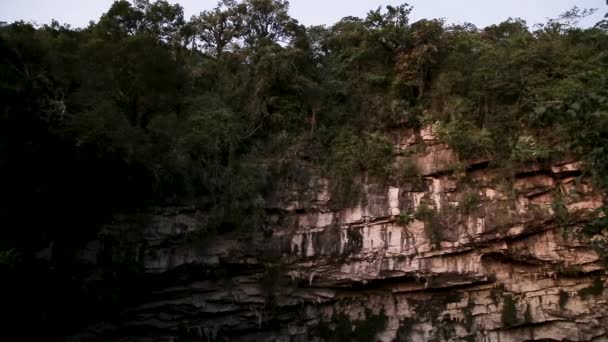 Las Golondrinas Bodrumu Hirundo Rustica Meksika Nın San Luis Potos — Stok video