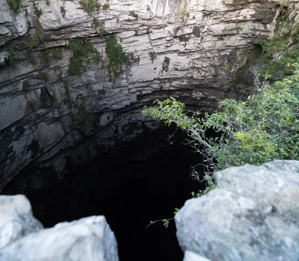 Las Golondrinas Bodrumu (Hirundo rustica), Meksika 'nın San Luis Potosí eyaletine bağlı Aquismón şehrinde bulunan doğal bir uçurum. — Stok fotoğraf