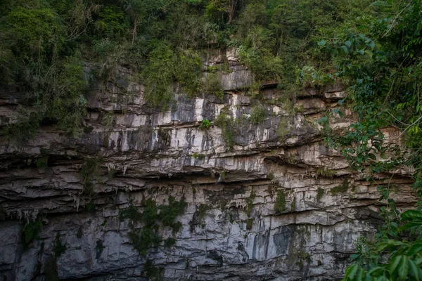 Sótano de Las Golondrinas (Hirundo rustica) es un abismo natural ubicado en la localidad de Aquismón perteneciente al estado mexicano de San Luis Potosí. —  Fotos de Stock