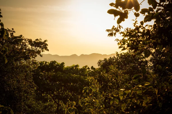 Sol al amanecer entre ramas, impresionantes siluetas de árboles sobre campos con cielo dramático — Foto de Stock