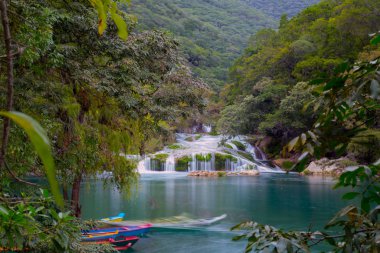 boats in Los Micos, National Park in San Luis Potosi, Mexico