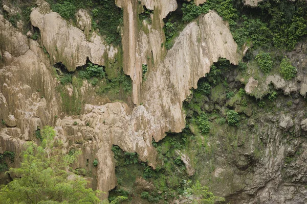 Textura de roca con musgo, verde y tierra —  Fotos de Stock