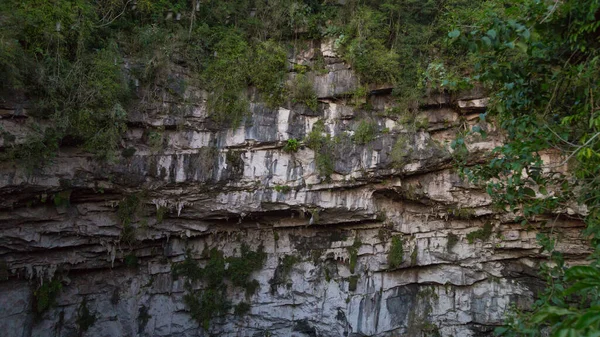 Basement of Las Golondrinas (Hirundo rustica) is a natural abyss located in the town of Aquismón belonging to the Mexican state of San Luis Potosí — Stock Photo, Image