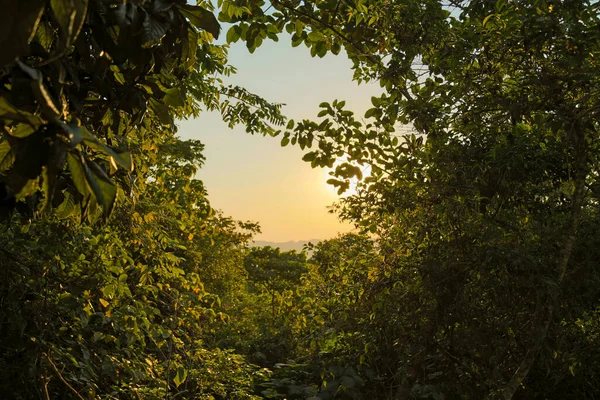 Sonne in der Morgendämmerung zwischen Ästen, beeindruckende Baumsilhouetten über Feldern mit dramatischem Himmel — Stockfoto