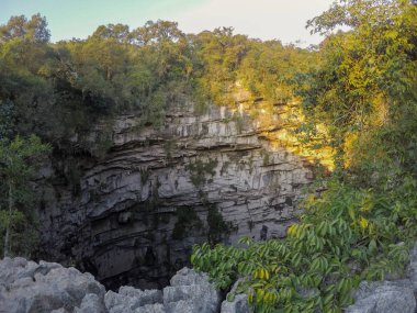 Las Golondrinas Bodrumu (Hirundo rustica), Meksika 'nın San Luis Potosí eyaletine bağlı Aquismón şehrinde bulunan doğal bir uçurum.