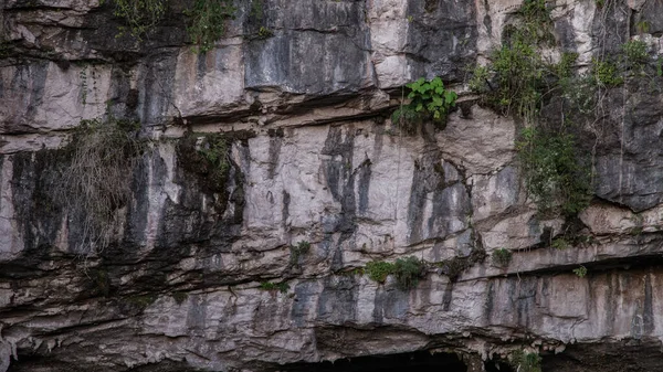 Sótano de Las Golondrinas (Hirundo rustica) es un abismo natural ubicado en la localidad de Aquismón perteneciente al estado mexicano de San Luis Potosí. —  Fotos de Stock