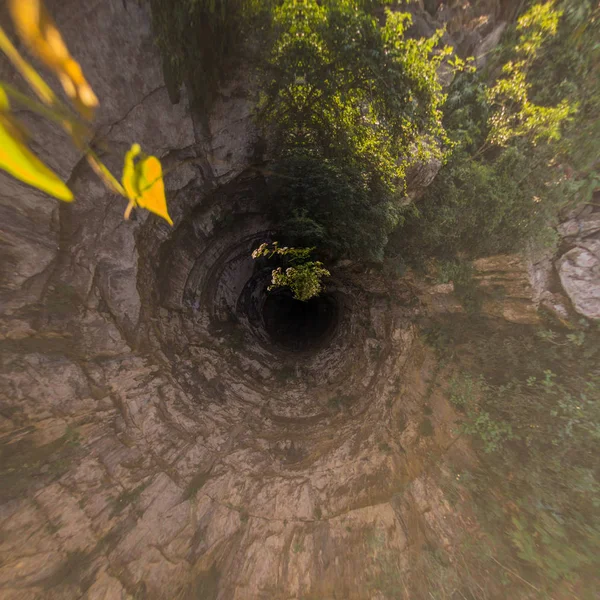 Pequeño planeta de golondrinas santuario san luis potosí, primer vuelo al amanecer de las golondrinas en la base de golondrinas —  Fotos de Stock