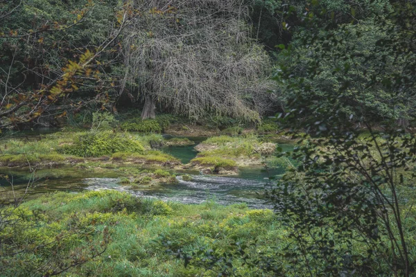 Fundo verde Vista panorâmica da espetacular cachoeira Tamul, Rio Tampaon, Huasteca Potosina, México — Fotografia de Stock