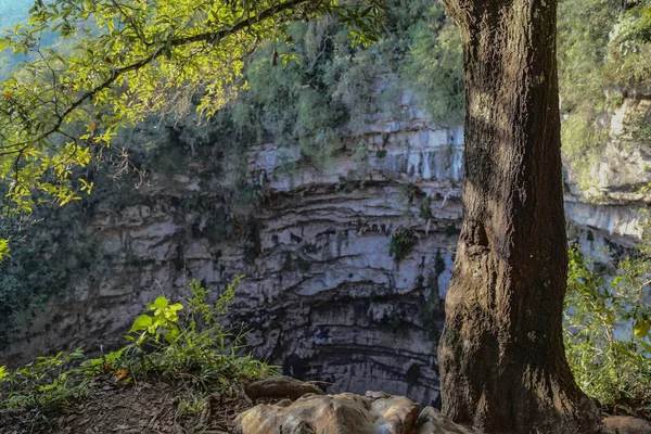 Sótano de Las Golondrinas (Hirundo rustica) es un abismo natural ubicado en la localidad de Aquismón perteneciente al estado mexicano de San Luis Potosí. —  Fotos de Stock