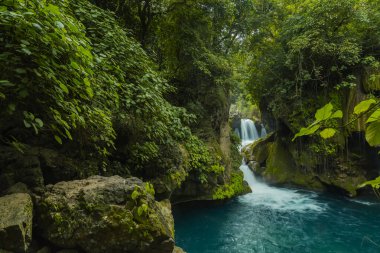 Orman taşları manzarası, Tanrı Köprüsü 'ndeki nehrin güzel panoramik manzarası ve Tamasopo Şelaleleri San Luis Potosi Meksika